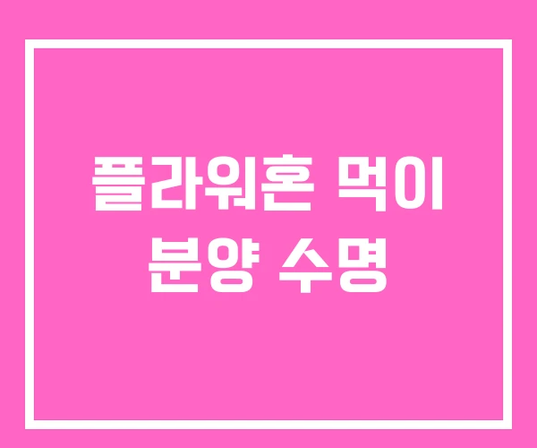 플라워혼 먹이 분양 수명 플라워혼 먹이 분양 수명