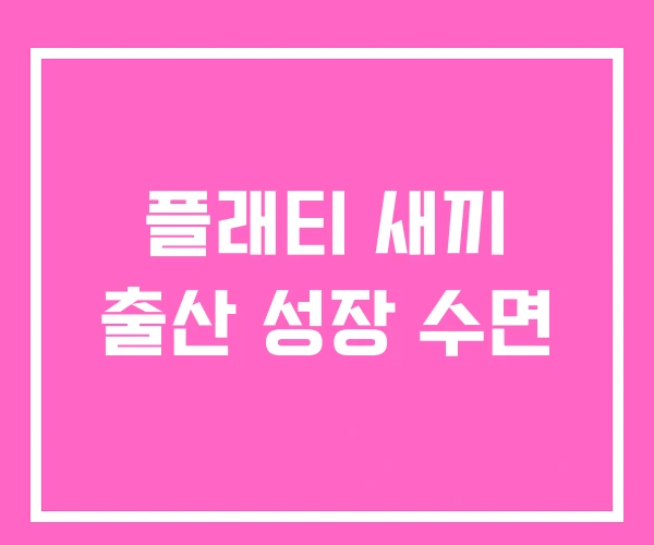 플래티 새끼 출산 성장 수면 플래티 새끼 출산 성장 수면