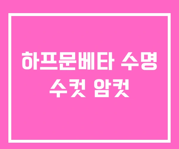 하프문베타 수명 수컷 암컷 하프문베타 수명 수컷 암컷