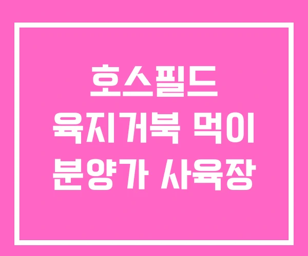 호스필드 육지거북 먹이 분양가 사육장 호스필드 육지거북 먹이 분양가 사육장
