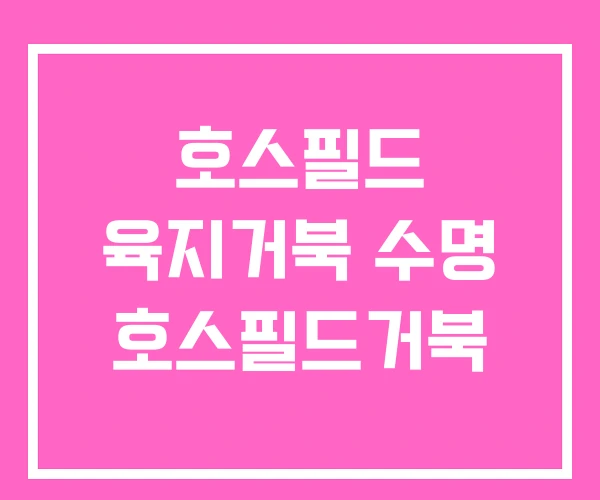 호스필드 육지거북 수명 호스필드거북 호스필드 육지거북 수명 호스필드거북