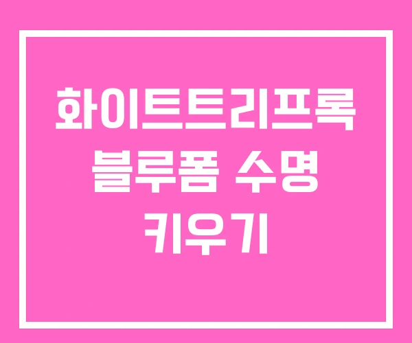 화이트트리프록 블루폼 수명 키우기