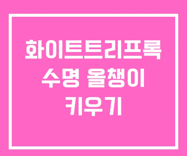 화이트트리프록 수명 올챙이 키우기