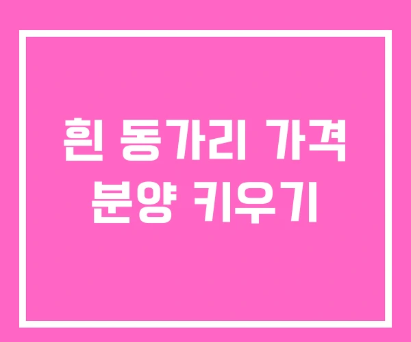 흰 동가리 가격 분양 키우기