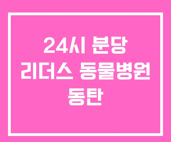24시 분당 리더스 동물병원 동탄