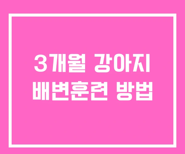 3개월 강아지 배변훈련 방법 3개월 강아지 배변훈련 방법