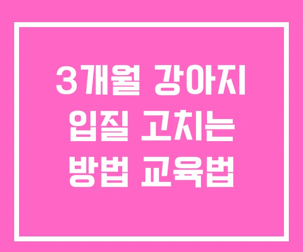 3개월 강아지 입질 고치는 방법 교육법