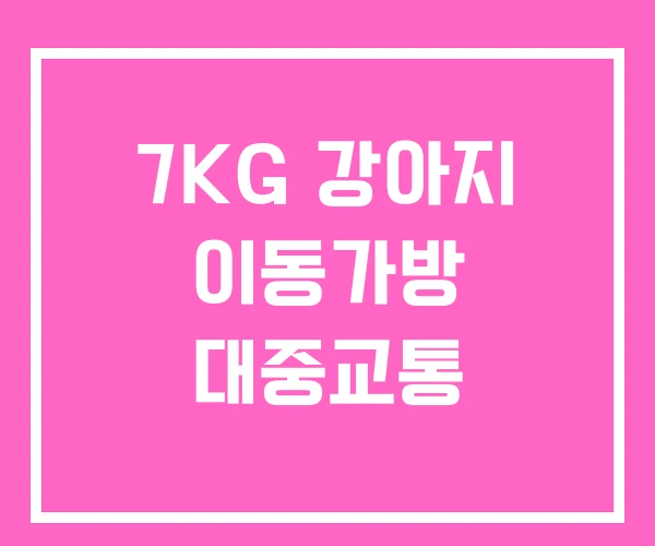 7KG 강아지 이동가방 대중교통 7KG 강아지 이동가방 대중교통