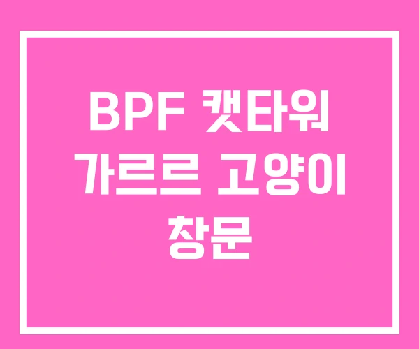 BPF 캣타워 가르르 고양이 창문