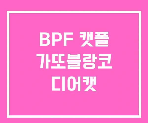 BPF 캣폴 가또블랑코 디어캣