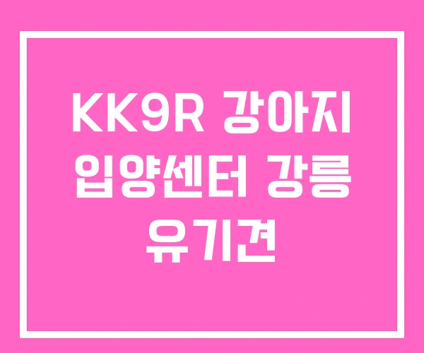 KK9R 강아지 입양센터 강릉 유기견