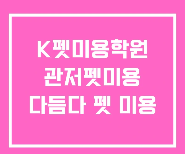 K펫미용학원 관저펫미용 다듬다 펫 미용