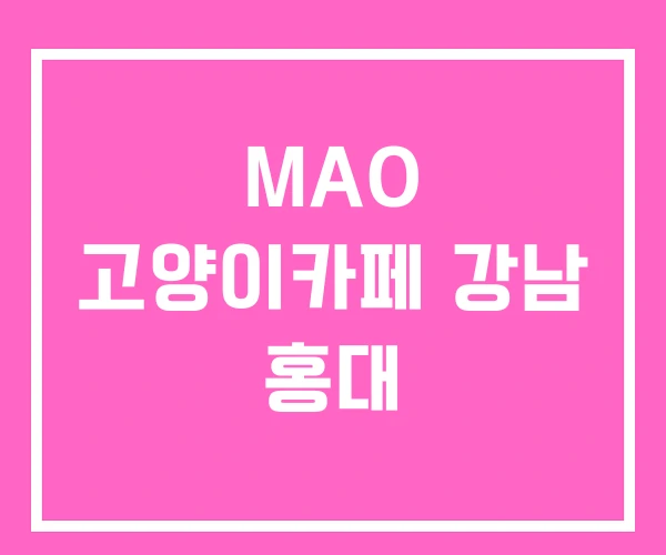 MAO 고양이카페 강남 홍대