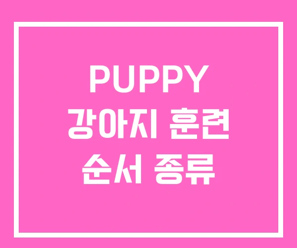 PUPPY 강아지 훈련 순서 종류