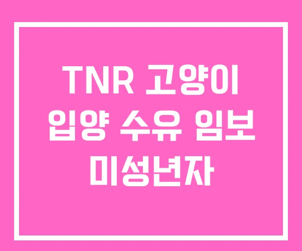TNR 고양이 입양 수유 임보 미성년자
