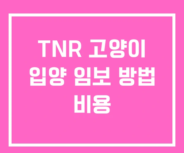 TNR 고양이 입양 임보 방법 비용