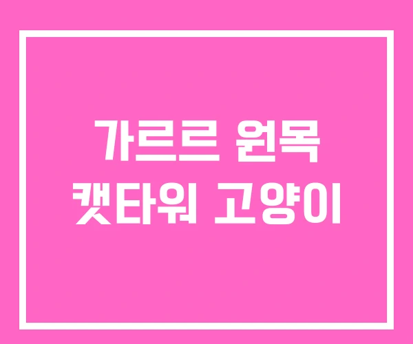 가르르 원목 캣타워 고양이 가르르 원목 캣타워 고양이