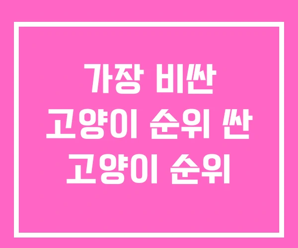 가장 비싼 고양이 순위 싼 고양이 순위 가장 비싼 고양이 순위 싼 고양이 순위