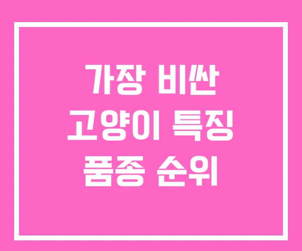 가장 비싼 고양이 특징 품종 순위