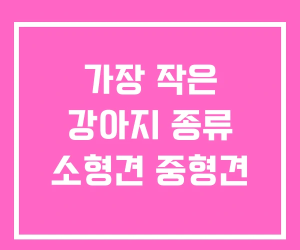 가장 작은 강아지 종류 소형견 중형견 가장 작은 강아지 종류 소형견 중형견