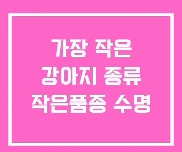 가장 작은 강아지 종류 작은품종 수명 가장 작은 강아지 종류 작은품종 수명