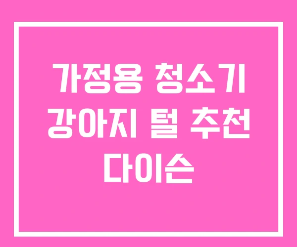 가정용 청소기 강아지 털 추천 다이슨