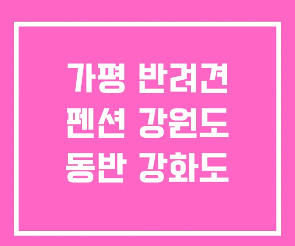 가평 반려견 펜션 강원도 동반 강화도