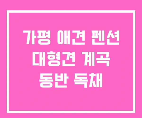가평 애견 펜션 대형견 계곡 동반 독채 가평 애견 펜션 대형견 계곡 동반 독채