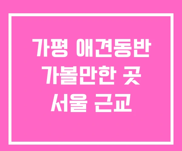 가평 애견동반 가볼만한 곳 서울 근교 가평 애견동반 가볼만한 곳 서울 근교