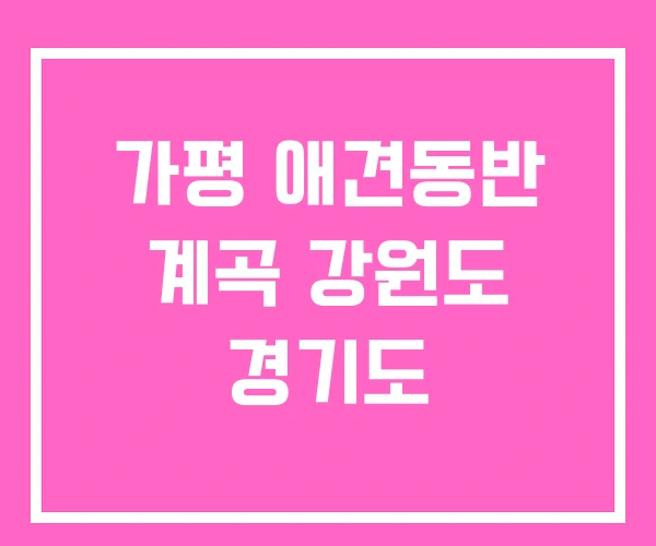 가평 애견동반 계곡 강원도 경기도