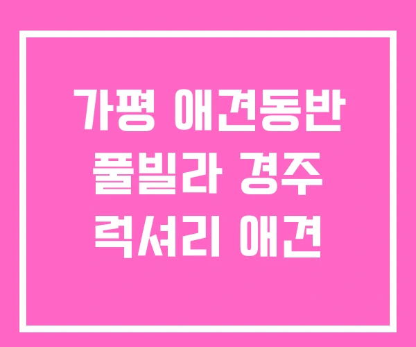 가평 애견동반 풀빌라 경주 럭셔리 애견