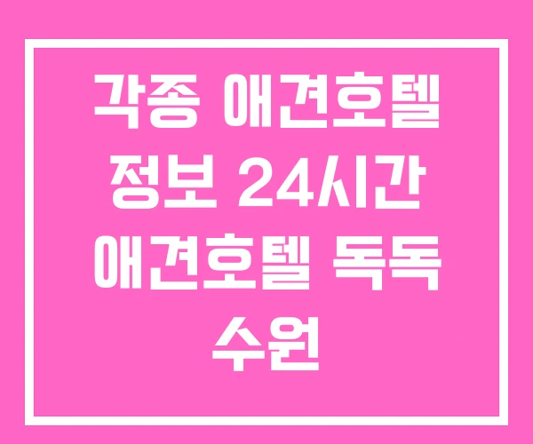 각종 애견호텔 정보 24시간 애견호텔 독독 수원