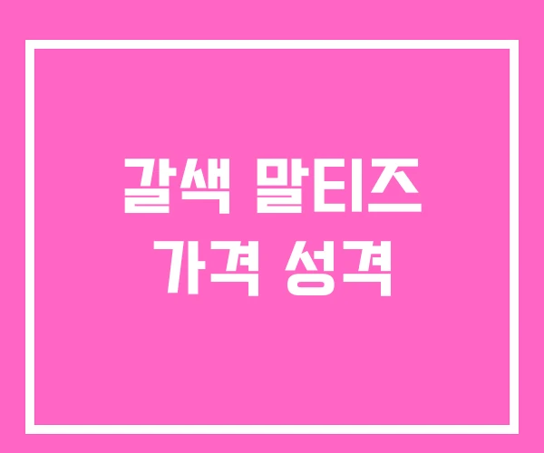 갈색 말티즈 가격 성격 갈색 말티즈 가격 성격