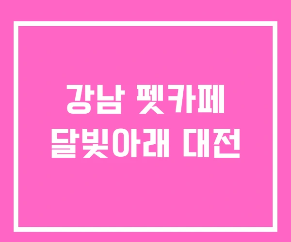 강남 펫카페 달빛아래 대전