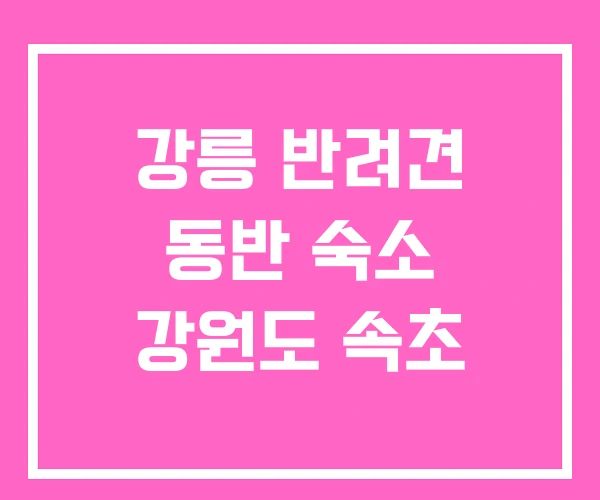 강릉 반려견 동반 숙소 강원도 속초
