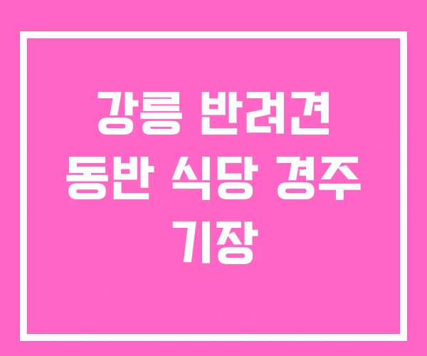 강릉 반려견 동반 식당 경주 기장 강릉 반려견 동반 식당 경주 기장