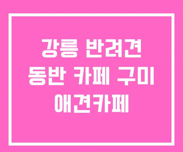 강릉 반려견 동반 카페 구미 애견카페