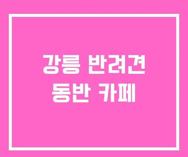 강릉 반려견 동반 카페 강릉 반려견 동반 카페