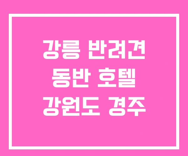 강릉 반려견 동반 호텔 강원도 경주