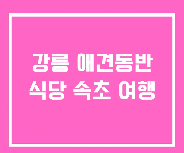 강릉 애견동반 식당 속초 여행 강릉 애견동반 식당 속초 여행