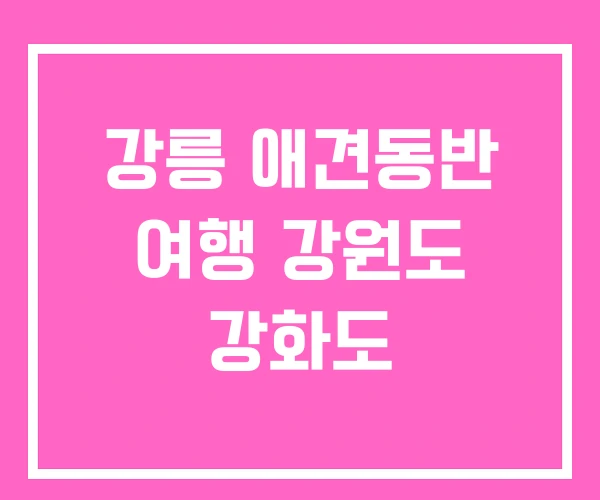 강릉 애견동반 여행 강원도 강화도