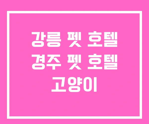 강릉 펫 호텔 경주 펫 호텔 고양이 강릉 펫 호텔 경주 펫 호텔 고양이