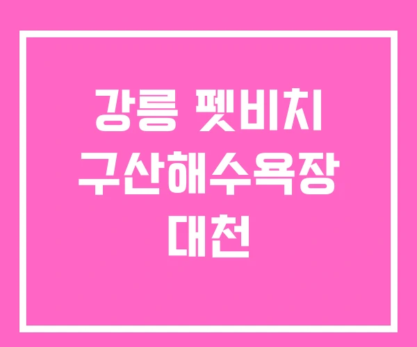 강릉 펫비치 구산해수욕장 대천 강릉 펫비치 구산해수욕장 대천