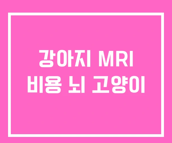 강아지 MRI 비용 뇌 고양이