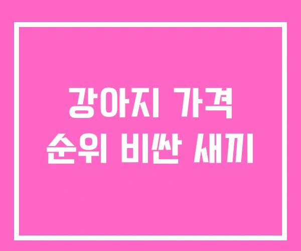 강아지 가격 순위 비싼 새끼 강아지 가격 순위 비싼 새끼