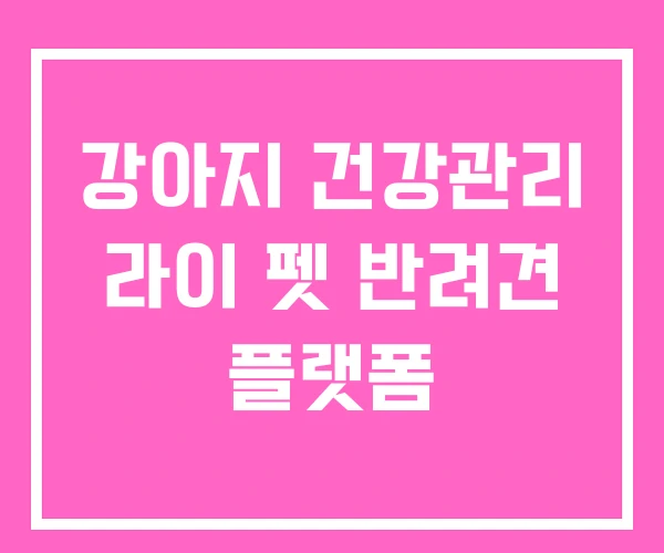 강아지 건강관리 라이 펫 반려견 플랫폼 강아지 건강관리 라이 펫 반려견 플랫폼