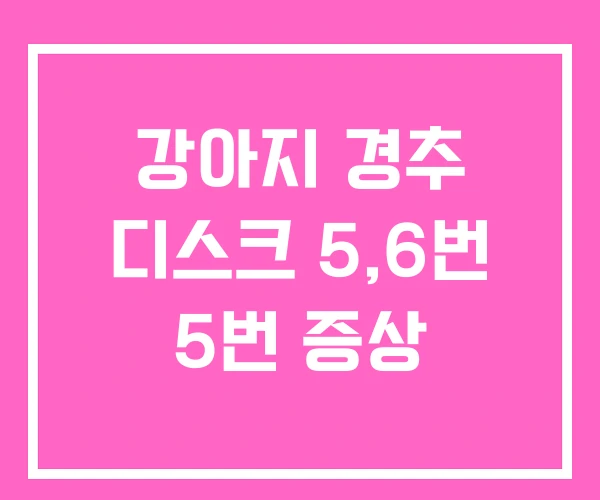 강아지 경추 디스크 5,6번 5번 증상 강아지 경추 디스크 5,6번 5번 증상