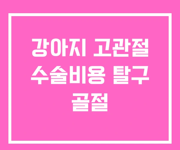 강아지 고관절 수술비용 탈구 골절 강아지 고관절 수술비용 탈구 골절