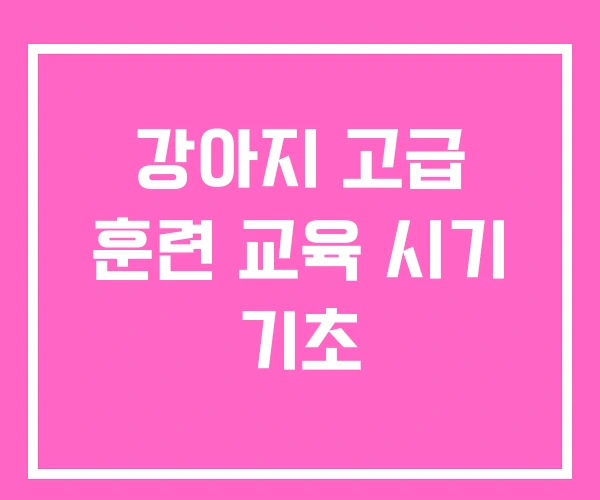 강아지 고급 훈련 교육 시기 기초 강아지 고급 훈련 교육 시기 기초