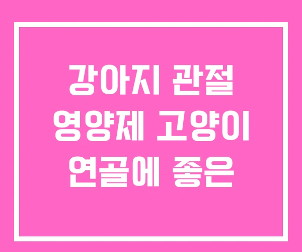 강아지 관절 영양제 고양이 연골에 좋은 강아지 관절 영양제 고양이 연골에 좋은